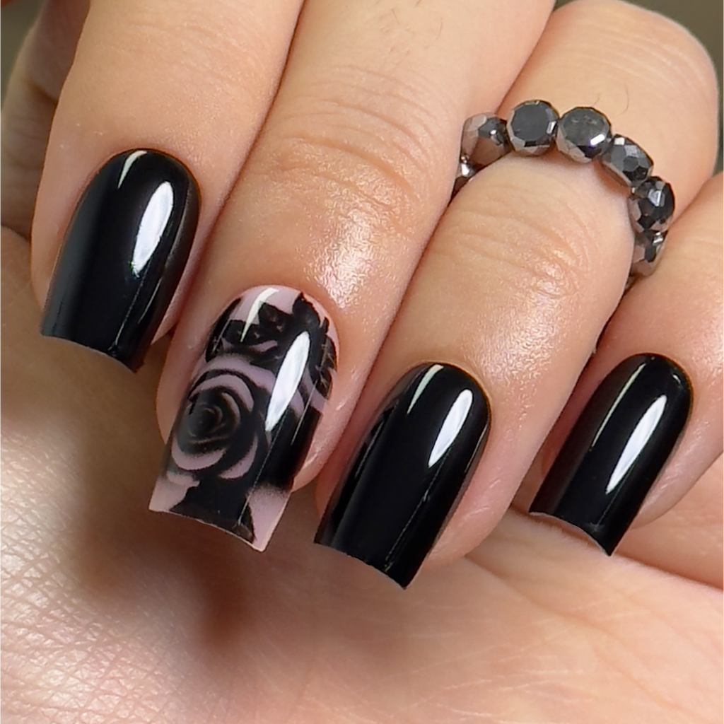 Black Gold Rose – M Square
