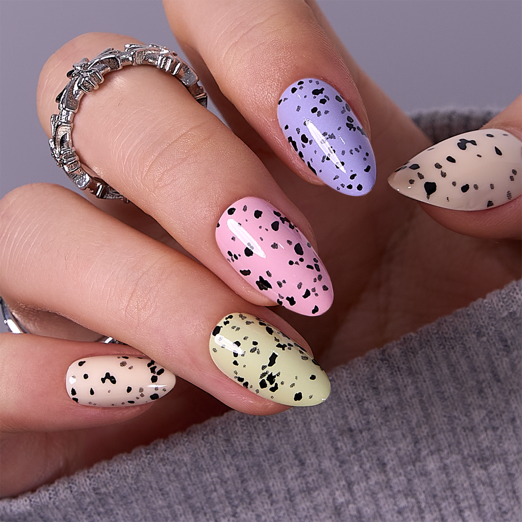 Eggshell Chic – S Almond