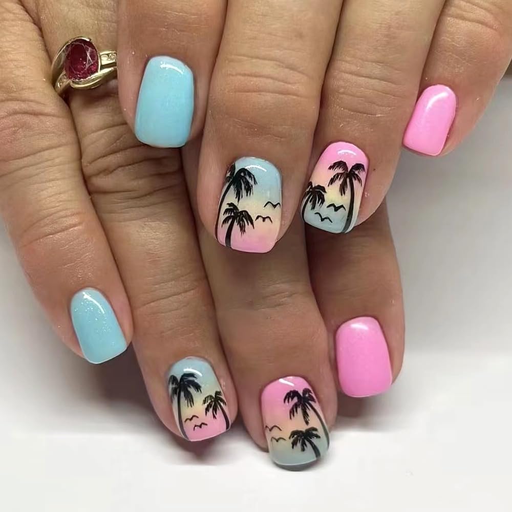 Tropical Sunset  – S Squoval