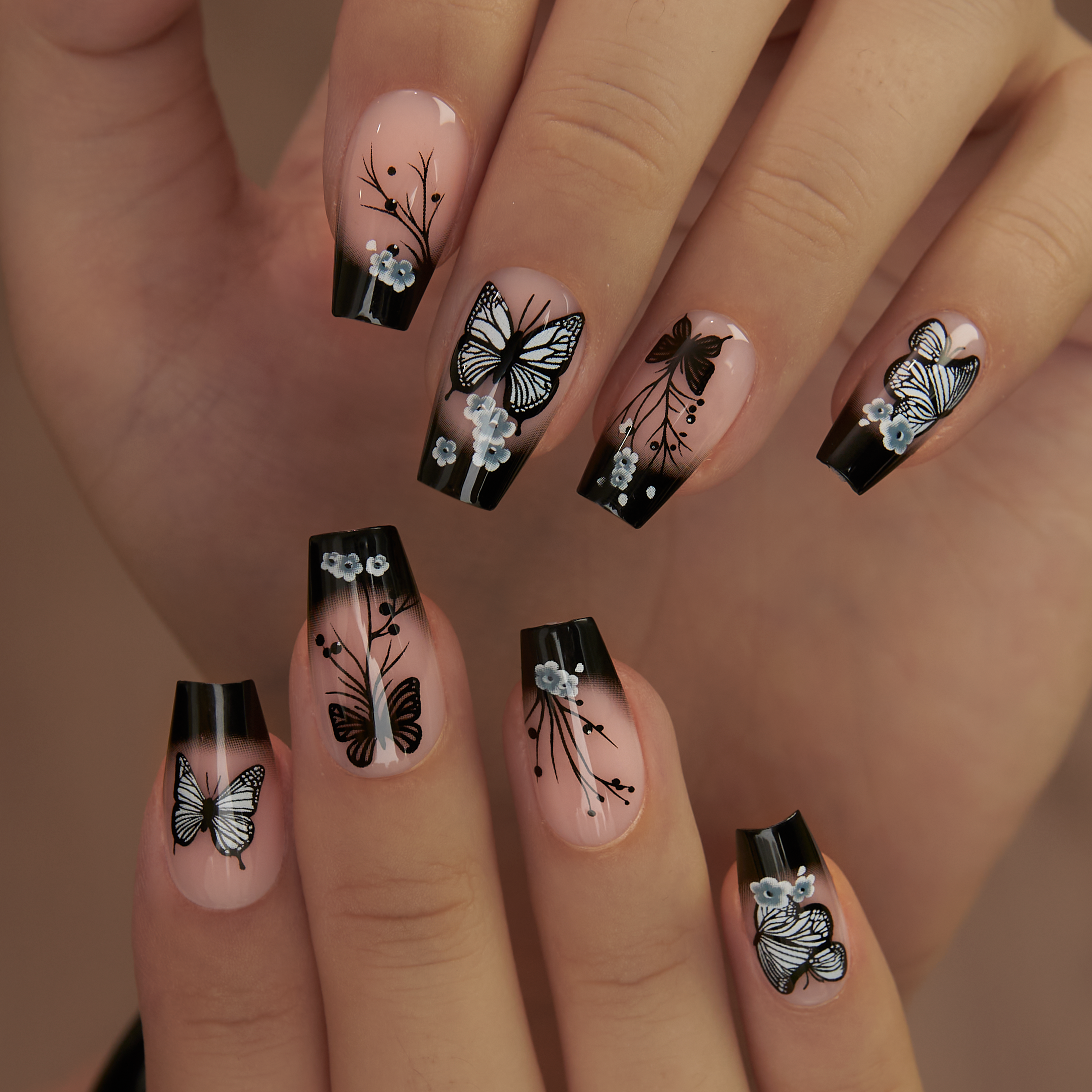 Noir Papillon – M Coffin